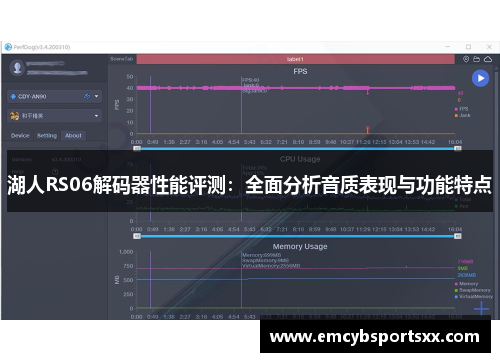 湖人RS06解码器性能评测：全面分析音质表现与功能特点